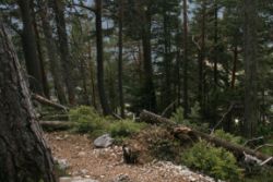 2011-04-24_Regina-F-Rau_Brunnstein-Spitze (044).JPG